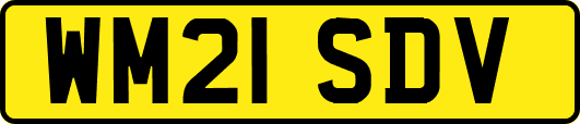 WM21SDV