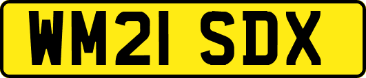 WM21SDX