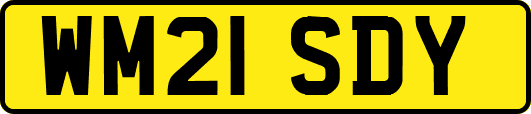 WM21SDY