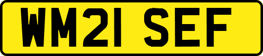 WM21SEF