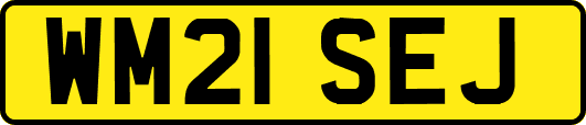 WM21SEJ