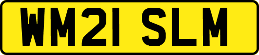 WM21SLM