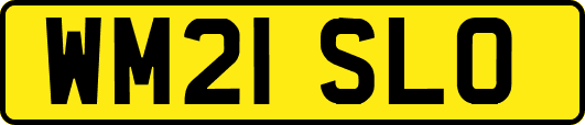 WM21SLO
