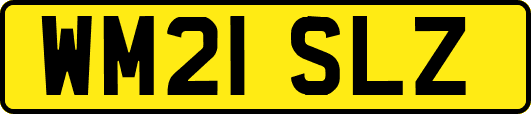WM21SLZ