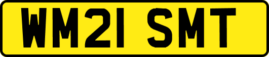 WM21SMT