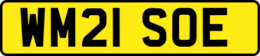 WM21SOE