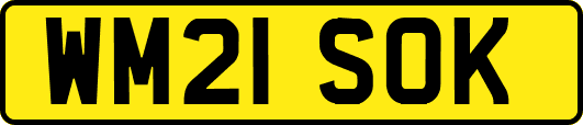WM21SOK