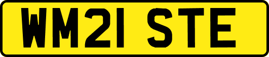 WM21STE