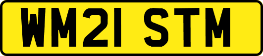 WM21STM