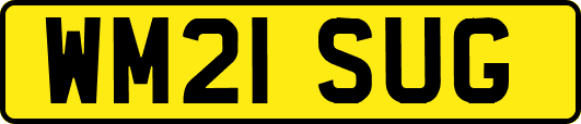 WM21SUG