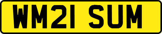 WM21SUM
