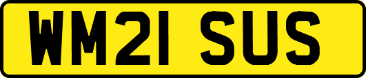 WM21SUS