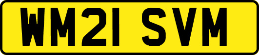 WM21SVM