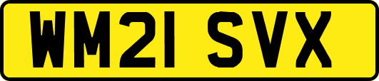 WM21SVX