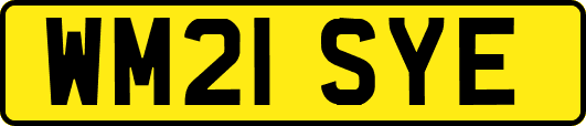 WM21SYE