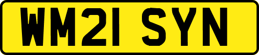 WM21SYN
