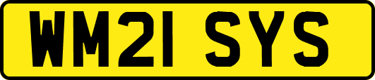 WM21SYS