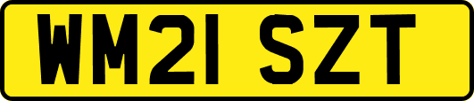 WM21SZT