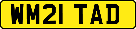 WM21TAD