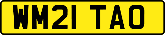 WM21TAO