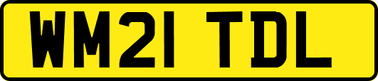 WM21TDL