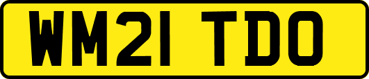 WM21TDO