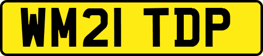 WM21TDP