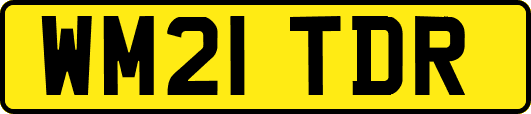WM21TDR