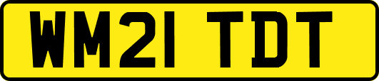 WM21TDT