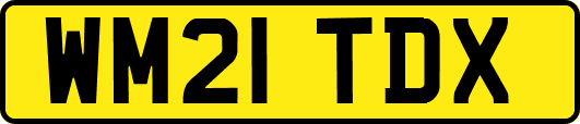 WM21TDX
