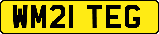 WM21TEG