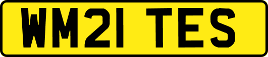 WM21TES