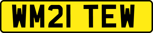 WM21TEW