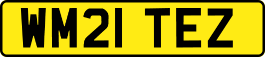 WM21TEZ