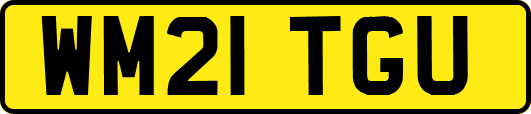 WM21TGU