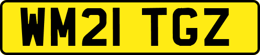 WM21TGZ