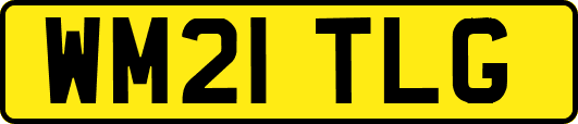 WM21TLG