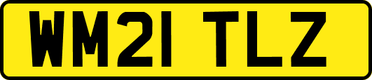 WM21TLZ