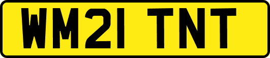 WM21TNT