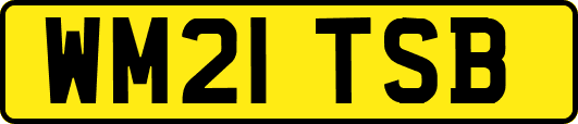 WM21TSB