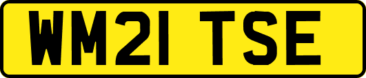 WM21TSE