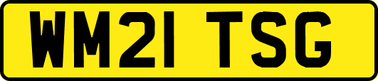 WM21TSG