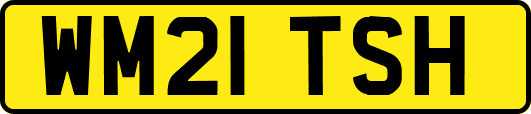 WM21TSH