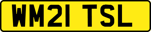 WM21TSL