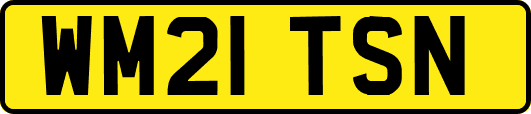 WM21TSN
