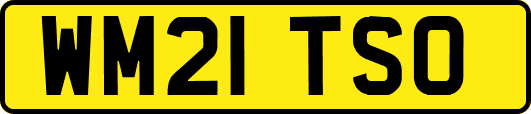 WM21TSO