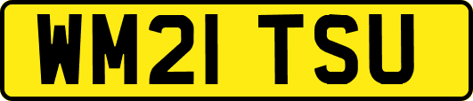 WM21TSU