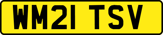 WM21TSV