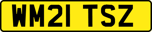 WM21TSZ