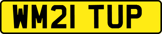 WM21TUP
